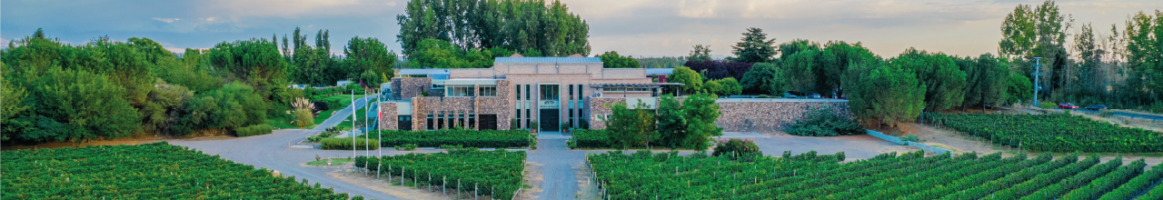 Imagen institucional